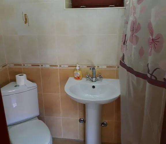 Rancho 555 * Ужгород